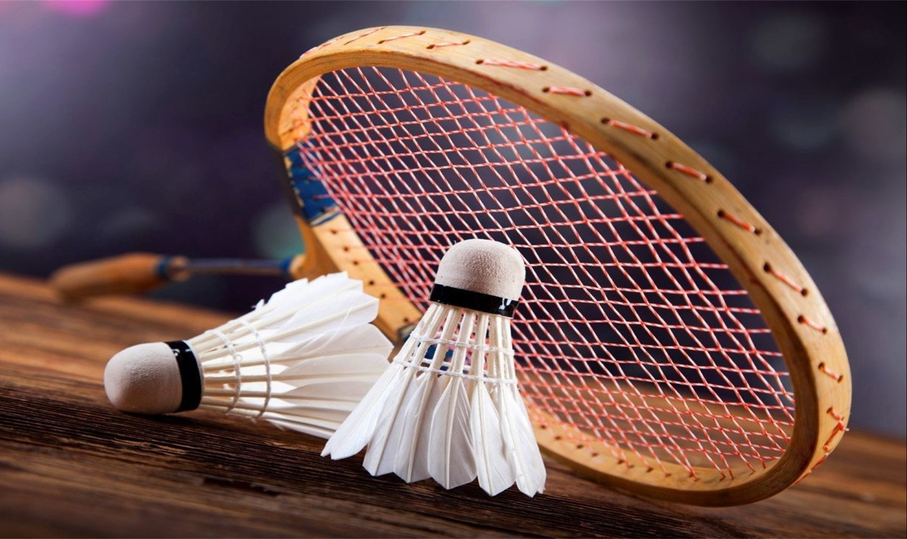 育文化间的 育文化间的